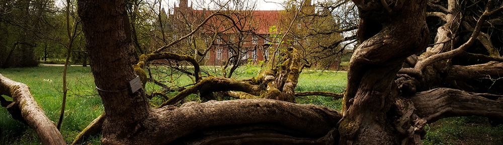 Heimatbäume Herten, Motiv aus dem Schlosspark Herten